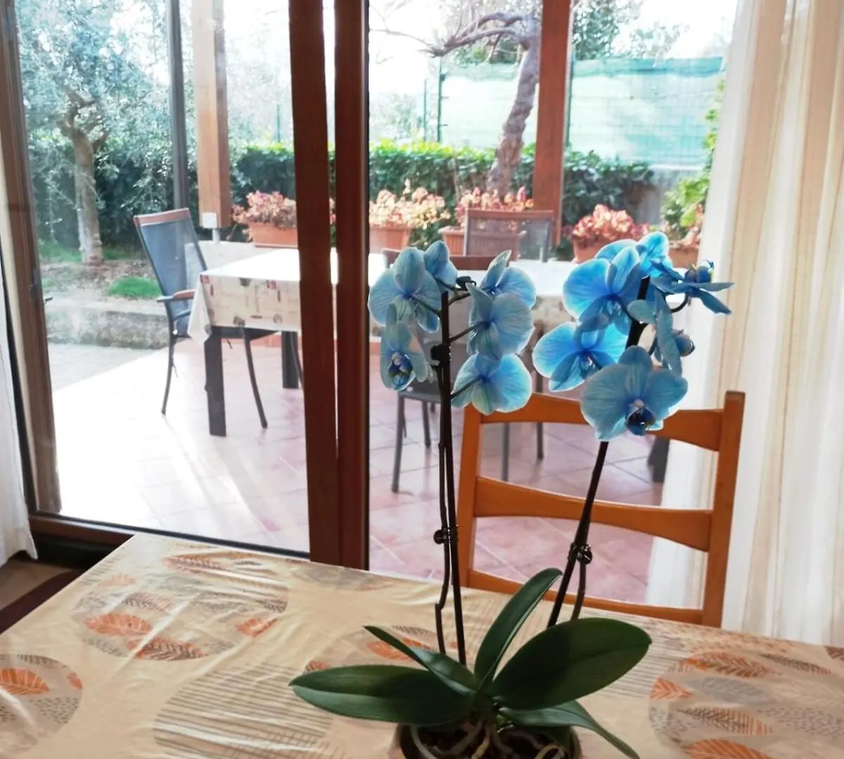 Holiday home Vacation House Ana Liznjan